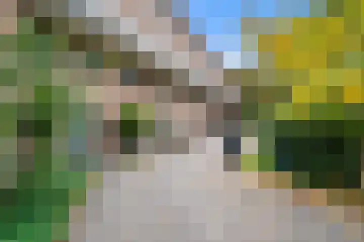 van Heutszlaan 114 1 Ede thumbnail 6