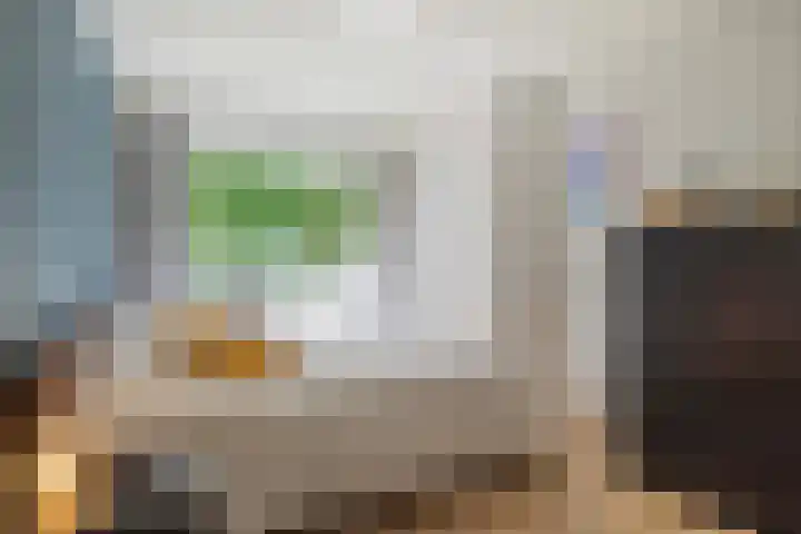 van Heutszlaan 114 Ede thumbnail 15