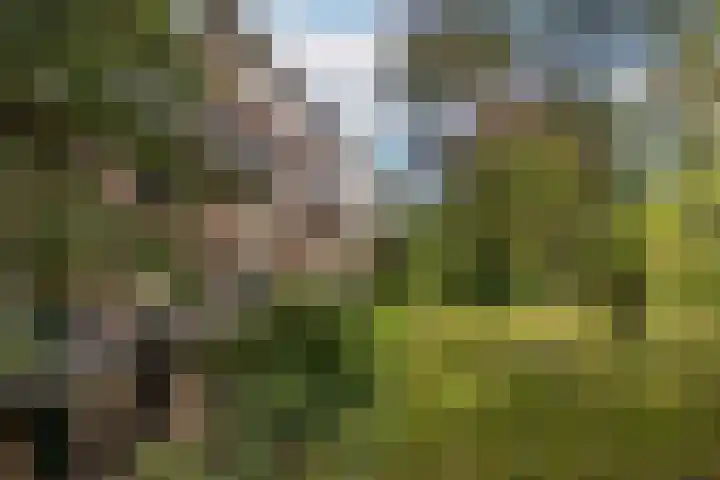 van Heutszlaan 114 Ede thumbnail 26