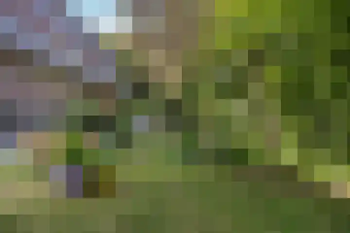 van Heutszlaan 114 Ede thumbnail 30