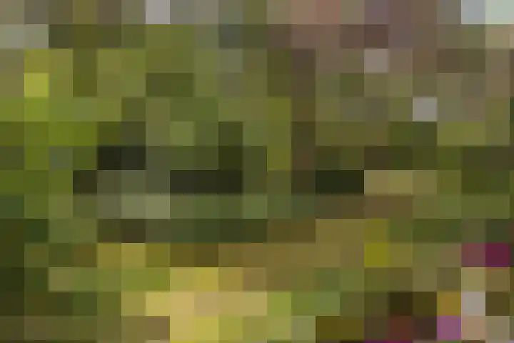 van Heutszlaan 114 Ede thumbnail 4