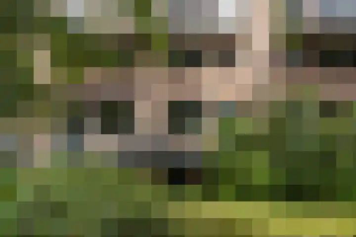 van Heutszlaan 114 Ede thumbnail 5