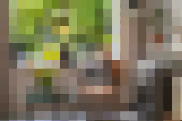 van Heutszlaan 114 Ede thumbnail 7
