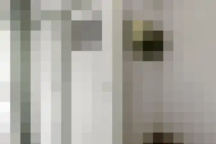 van Heutszlaan 126 Ede thumbnail 12