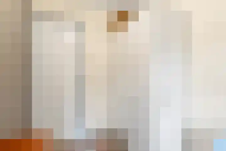 van Heutszlaan 126 Ede thumbnail 18