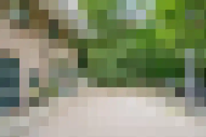 van Heutszlaan 126 Ede thumbnail 29