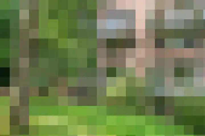 van Heutszlaan 126 Ede thumbnail 31