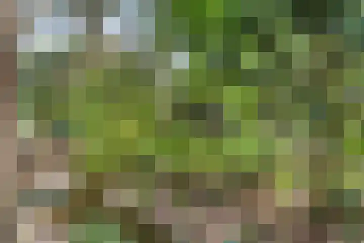 van Heutszlaan 126 Ede thumbnail 32