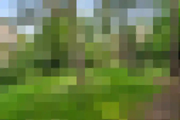van Heutszlaan 126 Ede thumbnail 33