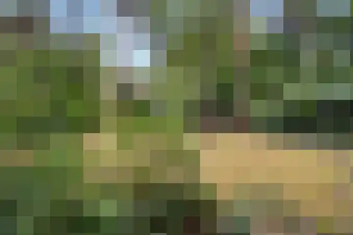 van Heutszlaan 126 Ede thumbnail 34