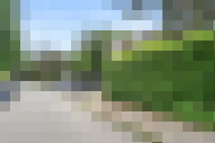 van Heutszlaan 126 Ede thumbnail 36