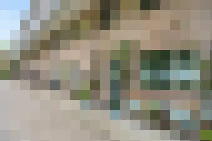 van Heutszlaan 126 Ede thumbnail 4