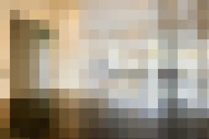 van Heutszlaan 138 1 Ede thumbnail 14