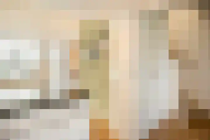 van Heutszlaan 138 1 Ede thumbnail 18