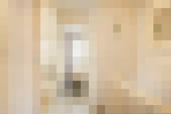 van Heutszlaan 138 1 Ede thumbnail 21