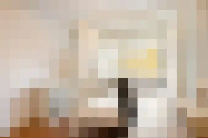 van Heutszlaan 138 1 Ede thumbnail 26
