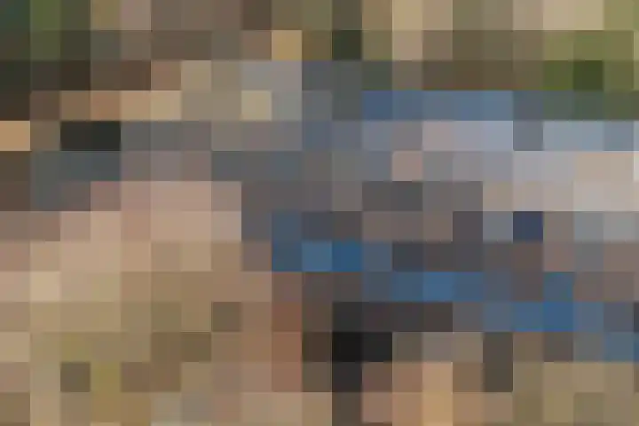 van Heutszlaan 138 1 Ede thumbnail 37