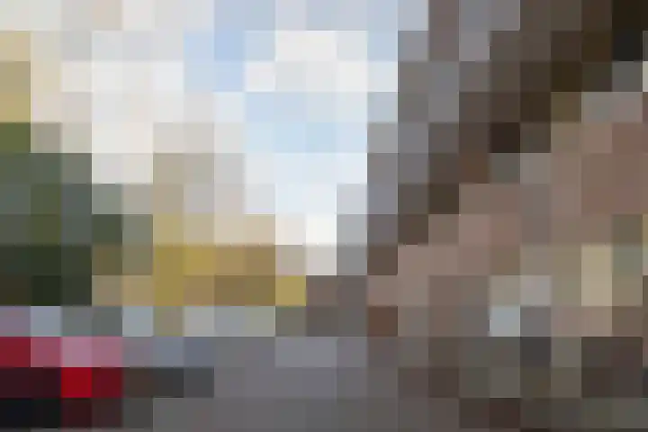 van Heutszlaan 138 1 Ede thumbnail 42