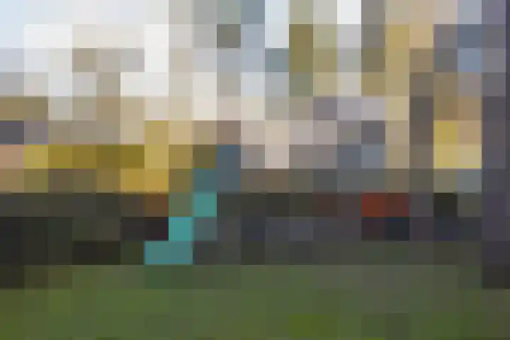 van Heutszlaan 138 1 Ede thumbnail 43