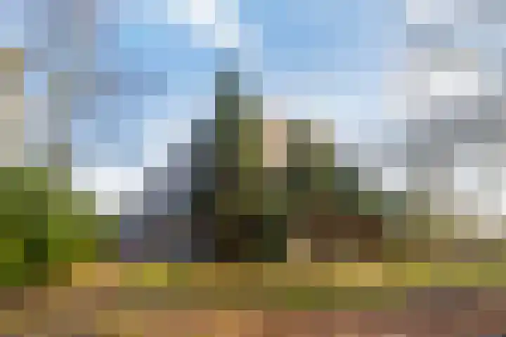 van Heutszlaan 138 1 Ede thumbnail 44