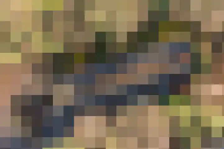 van Heutszlaan 138 1 Ede thumbnail 45
