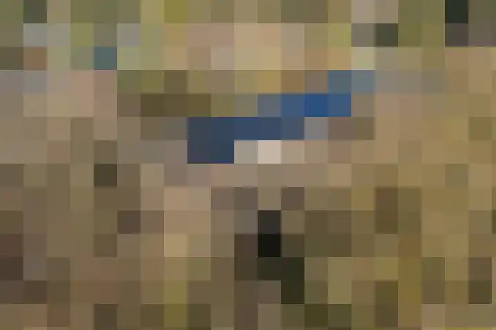 van Heutszlaan 138 1 Ede thumbnail 47