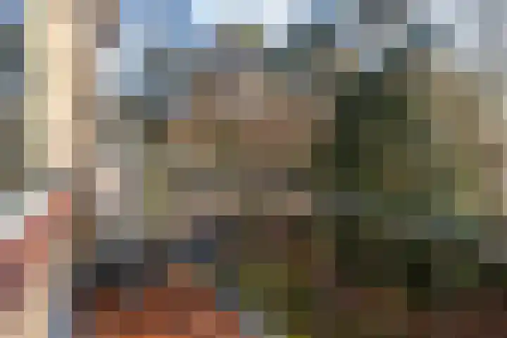van Heutszlaan 138 1 Ede thumbnail 7
