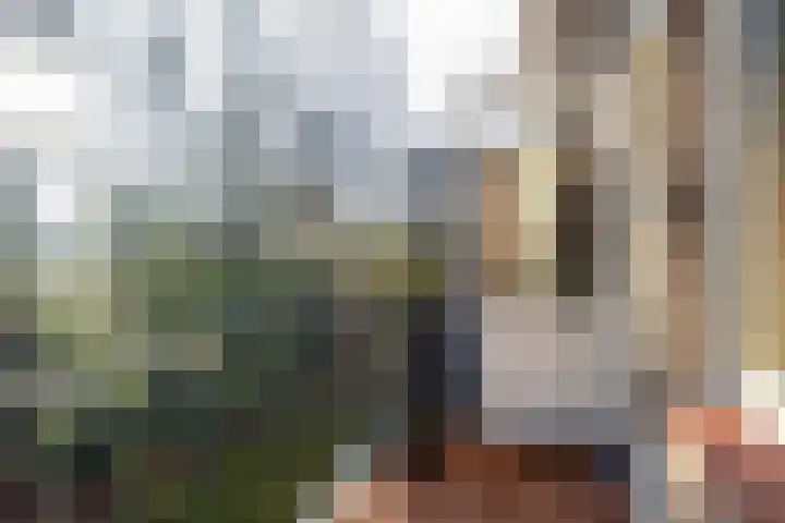 van Heutszlaan 138 1 Ede thumbnail 8