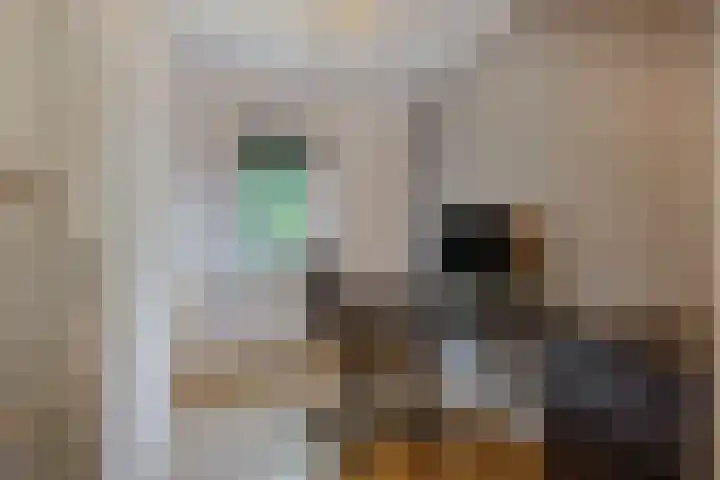 van Heutszlaan 146 1 Ede thumbnail 20