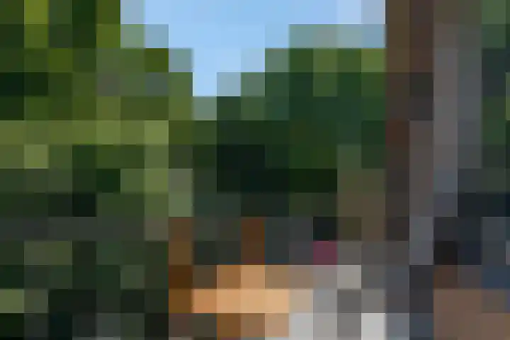 van Heutszlaan 146 1 Ede thumbnail 27