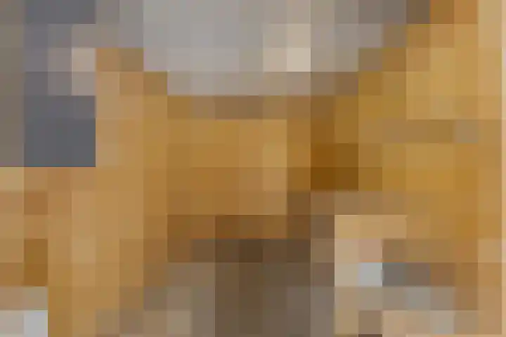 van Heutszlaan 146 1 Ede thumbnail 28