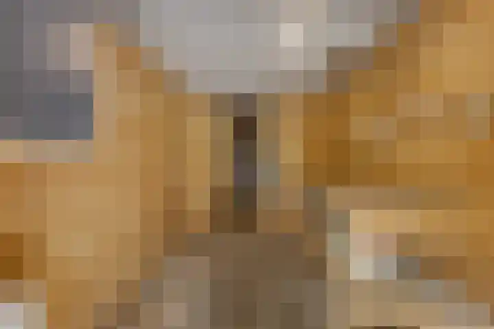van Heutszlaan 146 1 Ede thumbnail 29
