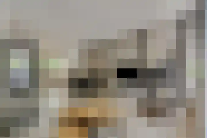 van Heutszlaan 146 1 Ede thumbnail 4