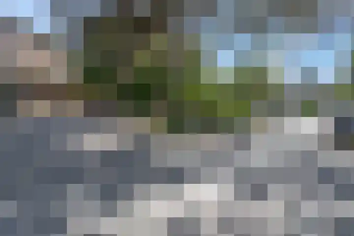 van Heutszlaan 146 1 Ede thumbnail 40