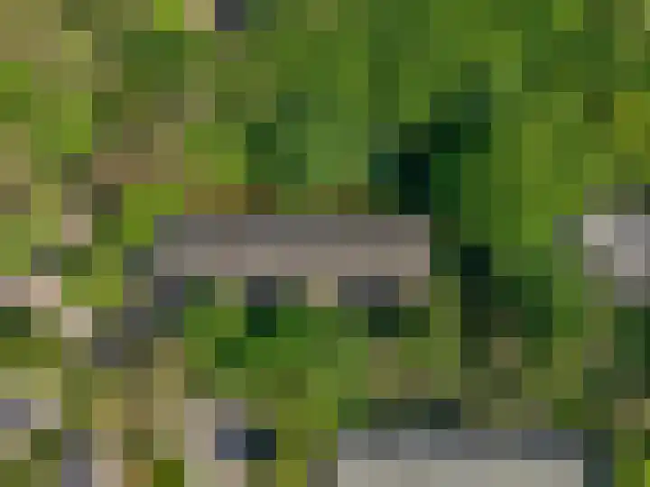 van Heutszlaan 146 1 Ede thumbnail 44