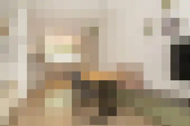 van Heutszlaan 146 Ede thumbnail 10