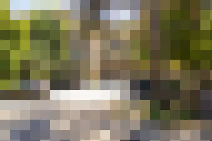 van Heutszlaan 146 Ede thumbnail 31