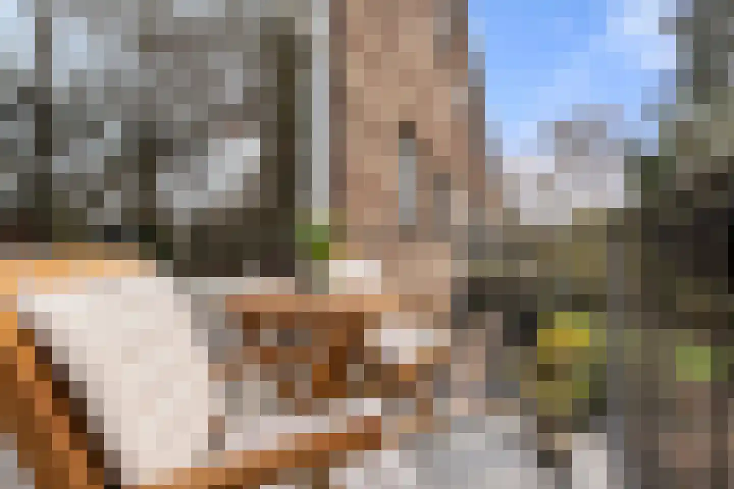 van Heutszlaan 26 1 Ede thumbnail 7