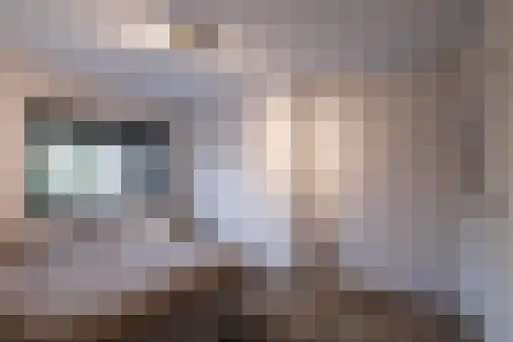 van Heutszlaan 26 Ede thumbnail 17