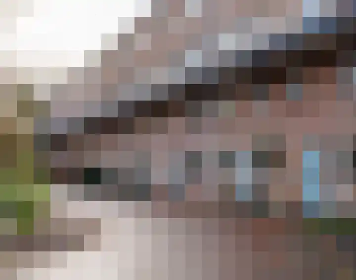 van Heutszlaan 26 Ede thumbnail 29