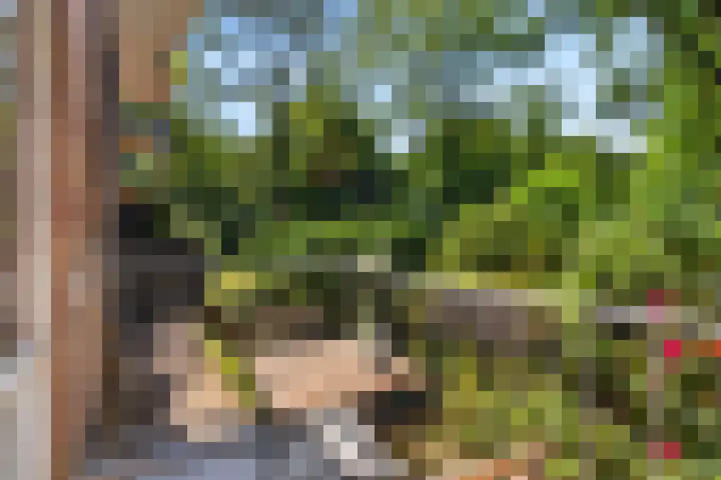 van Heutszlaan 34 Ede thumbnail 22