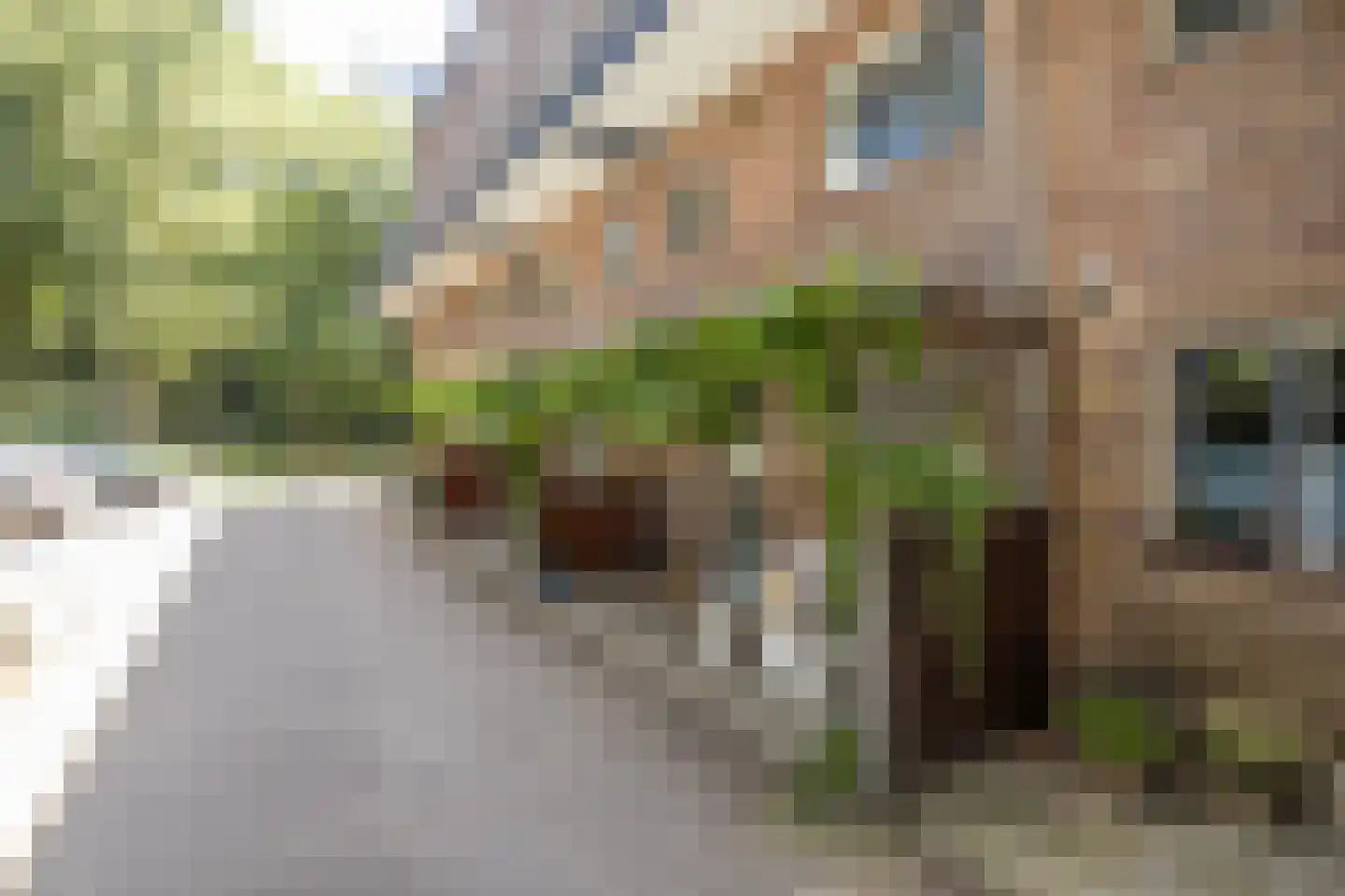 van Heutszlaan 34 Ede thumbnail 6