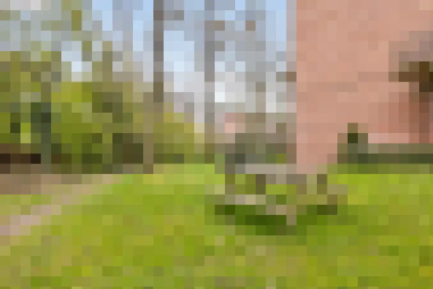 van Heutszlaan 38 1 Ede thumbnail 35