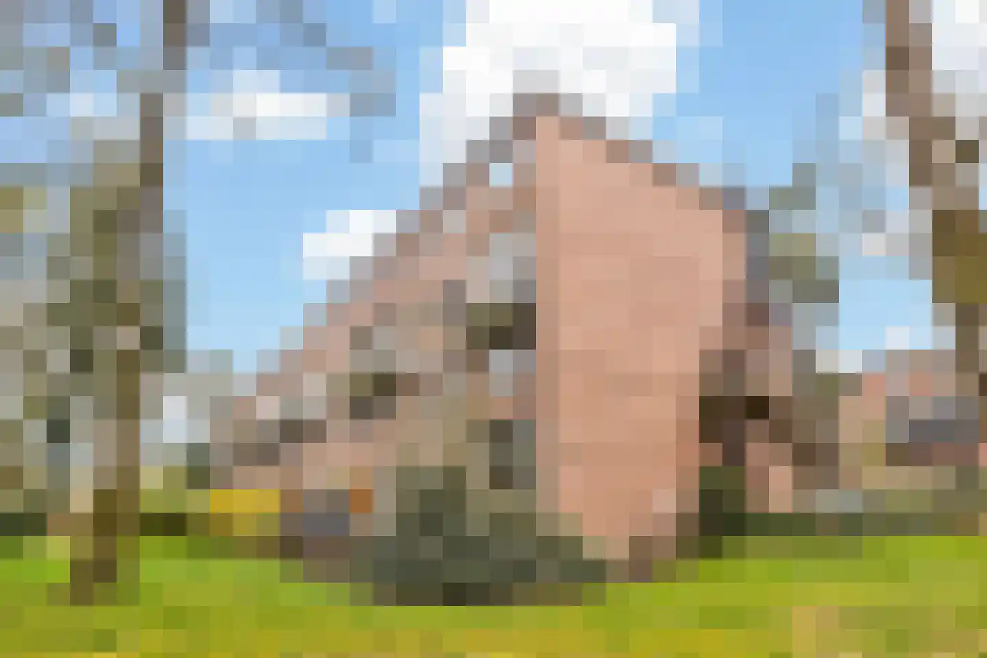 van Heutszlaan 38 1 Ede thumbnail 36