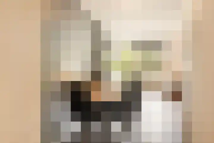 van Heutszlaan 4 Ede thumbnail 13