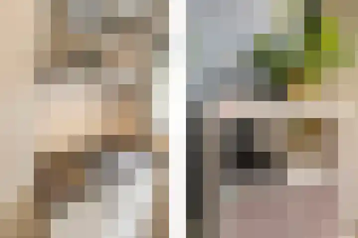van Heutszlaan 4 Ede thumbnail 17