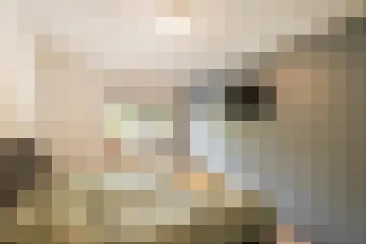 van Heutszlaan 4 Ede thumbnail 19