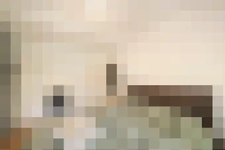 van Heutszlaan 4 Ede thumbnail 21
