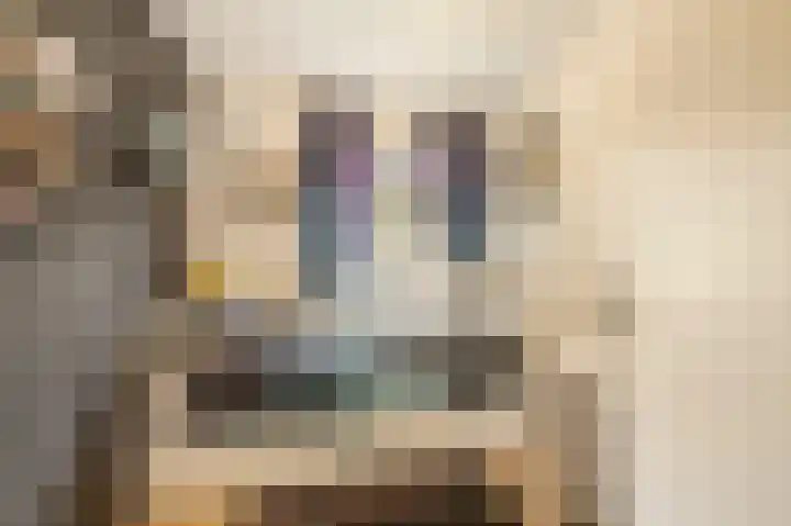 van Heutszlaan 4 Ede thumbnail 23