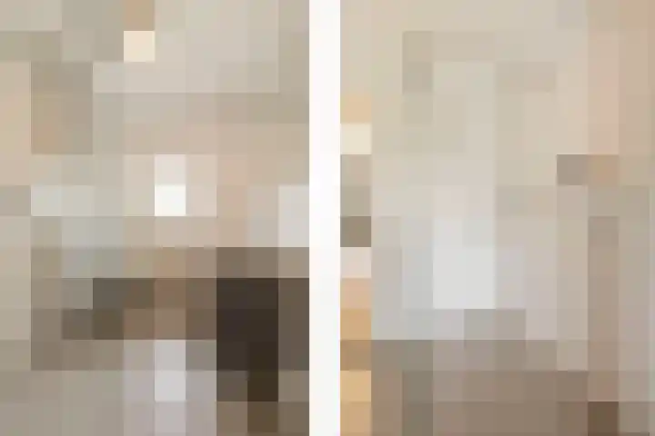 van Heutszlaan 4 Ede thumbnail 27